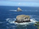 PICTURES/Oregon Coast Road - Cape Mears Lighthouse/t_IMG_6435.jpg